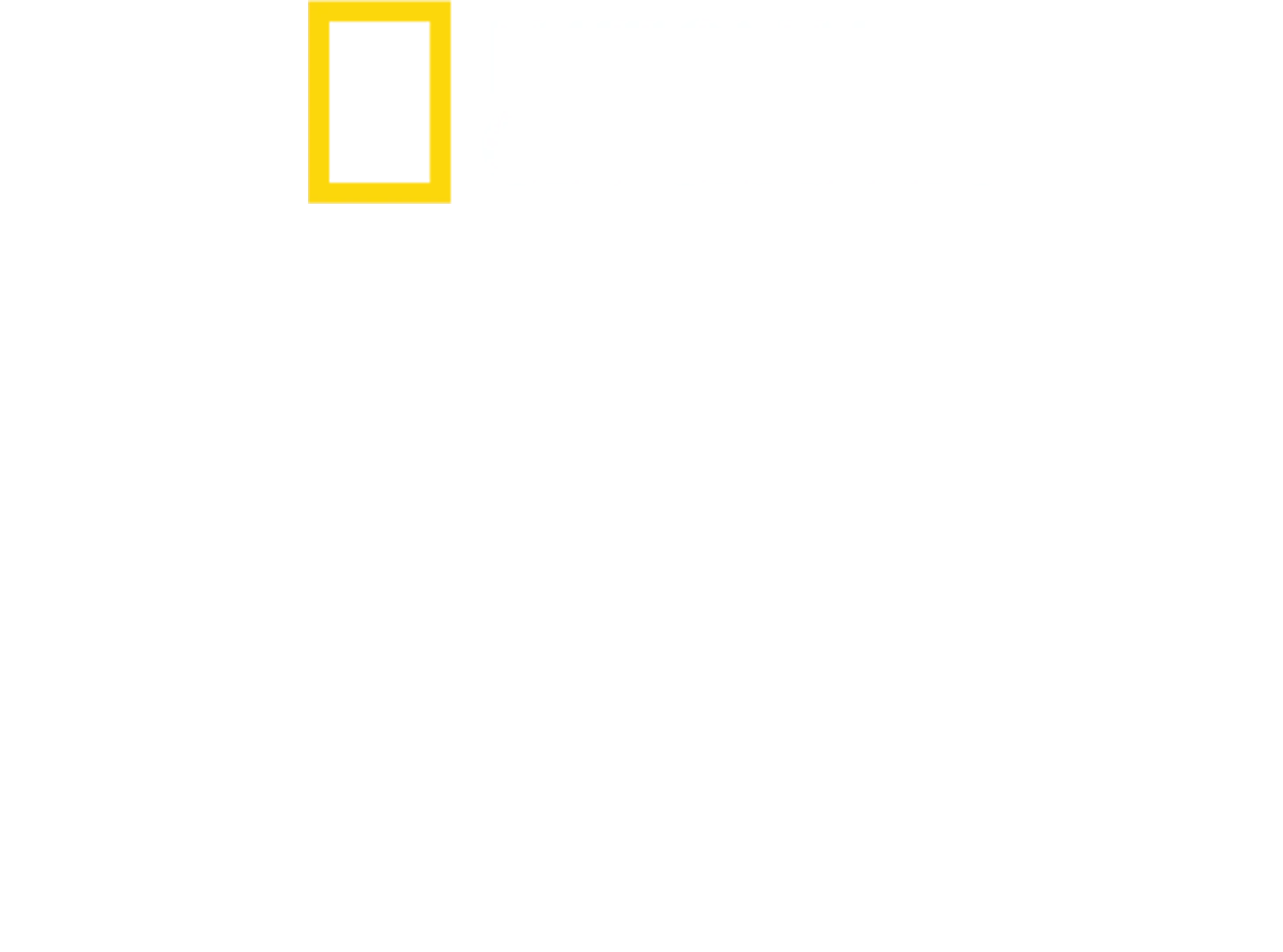 超級詐騙：愛情陷阱