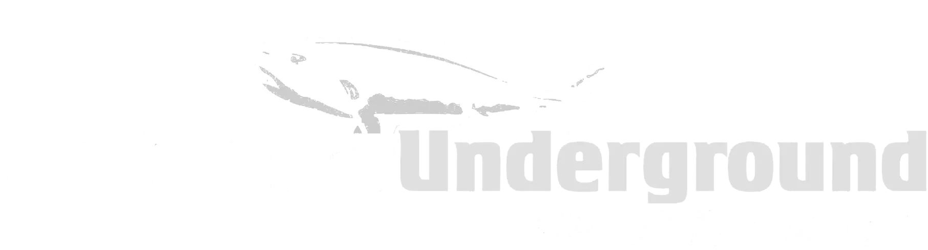Saltwater Underground with Nick Honachefsky