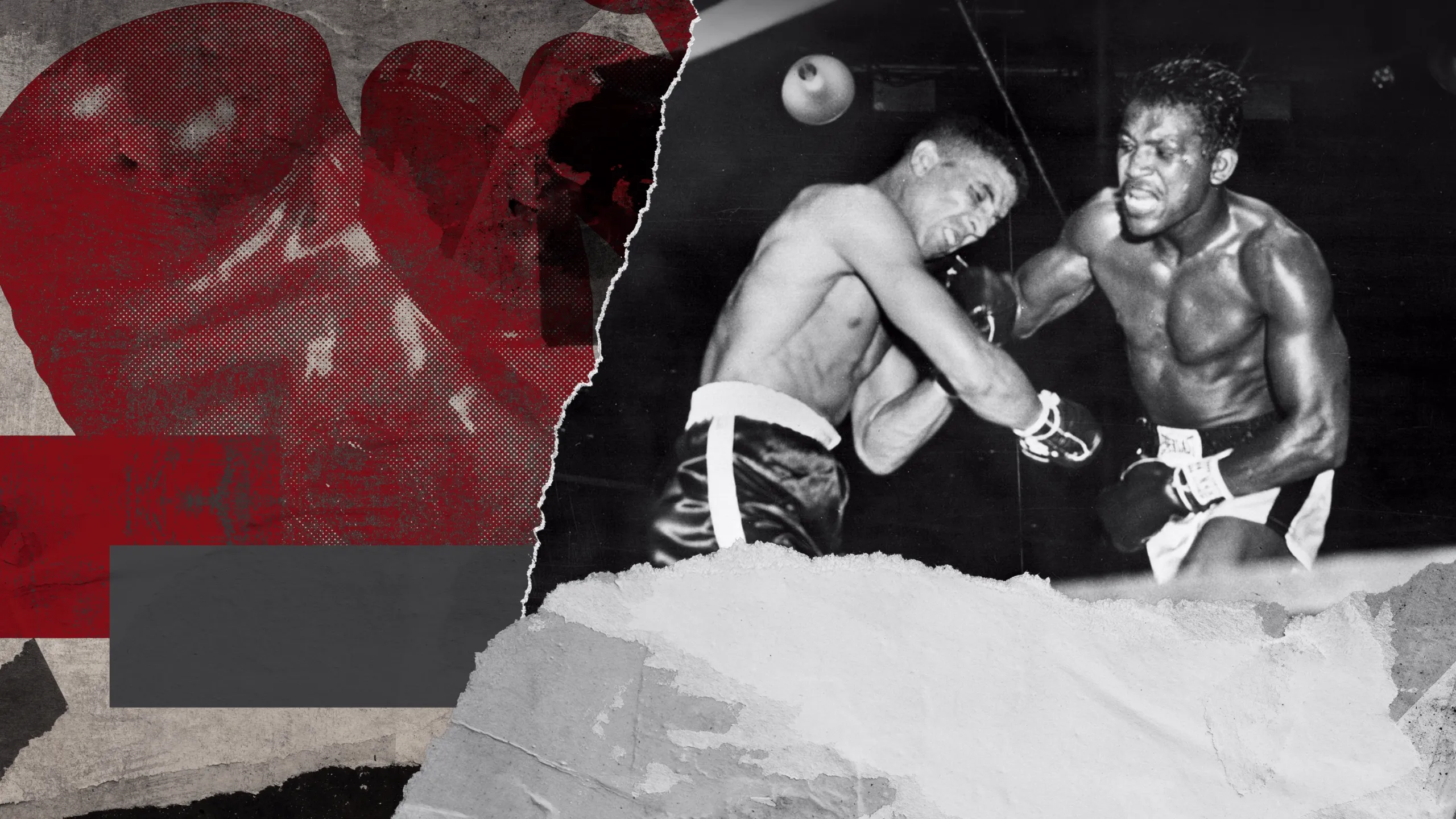 Robinson vs Turpin II