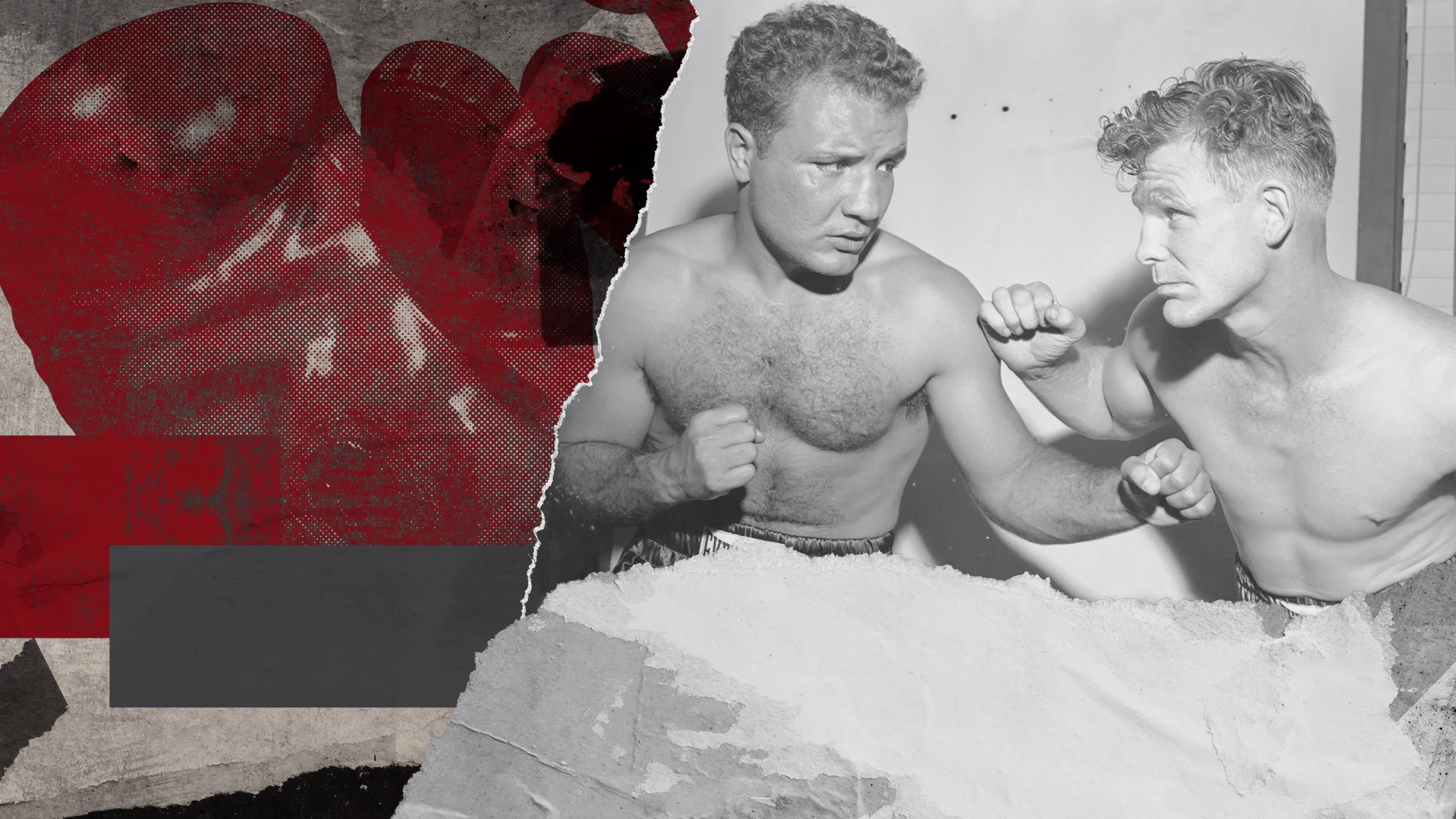 Lamotta vs Murphy II