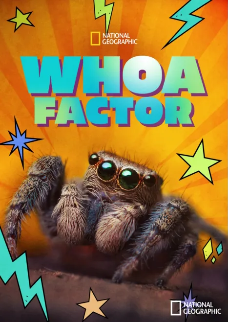 thumbnail - Whoa Factor