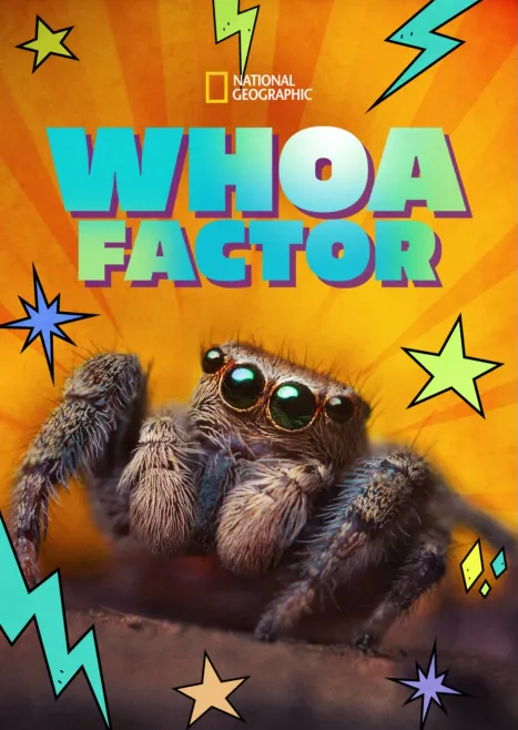 thumbnail - Whoa Factor