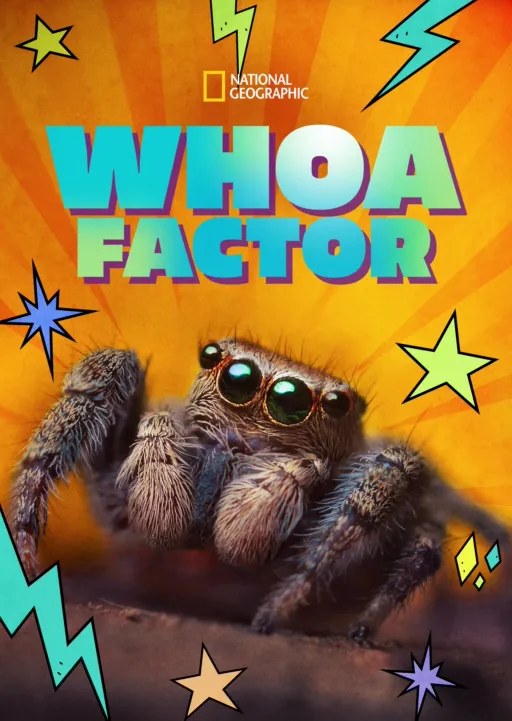 thumbnail - Whoa Factor