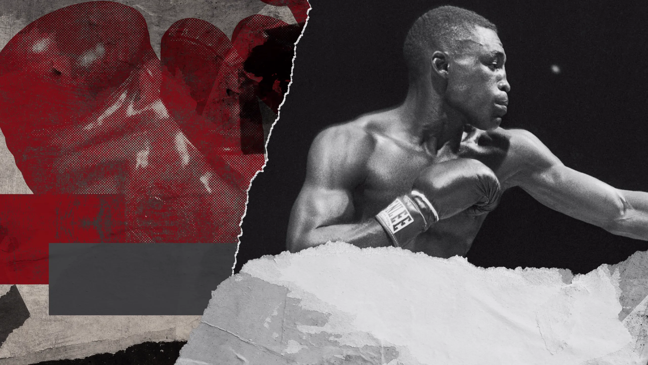 Carter vs Salas II