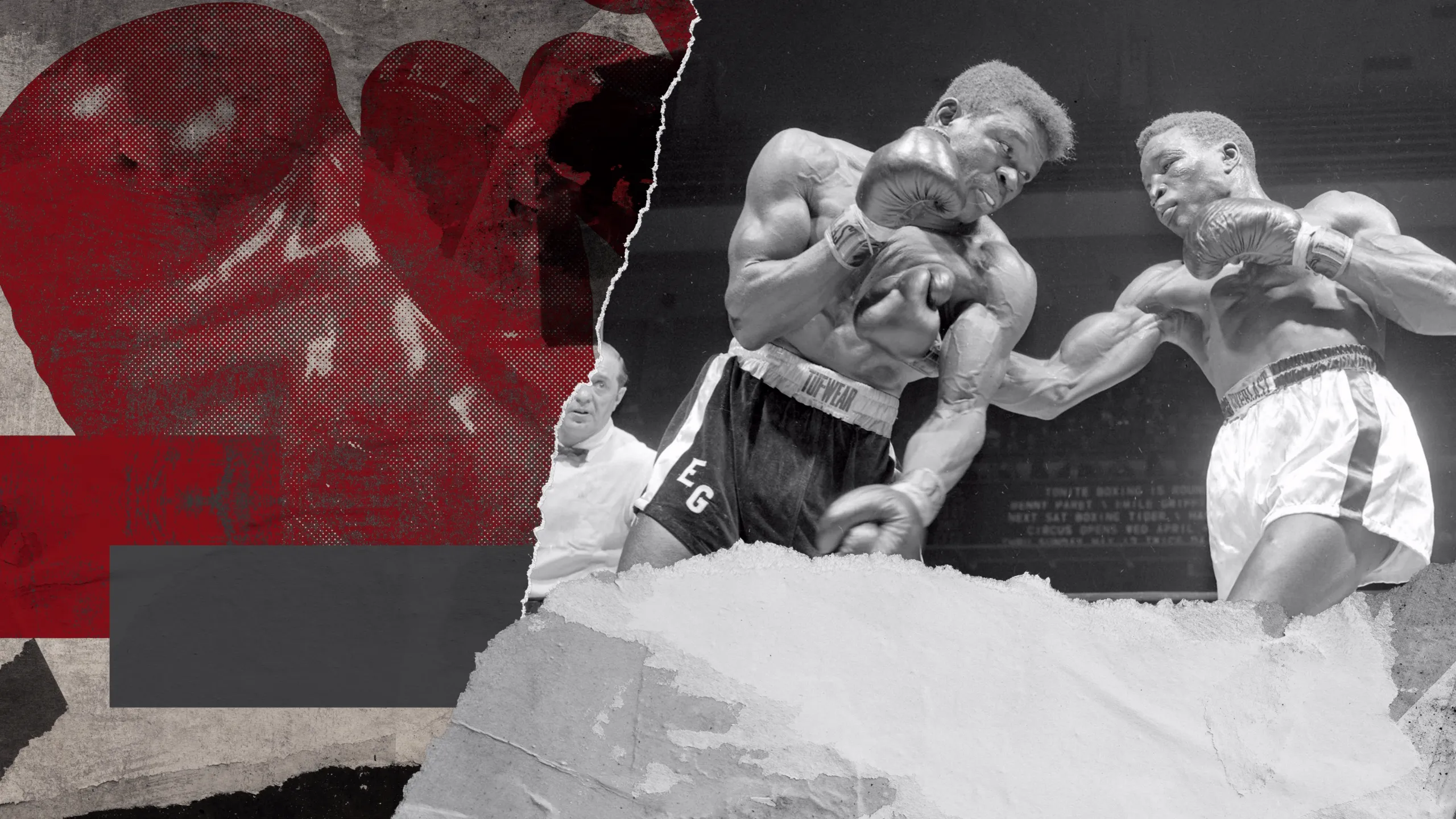 Griffith vs Paret II