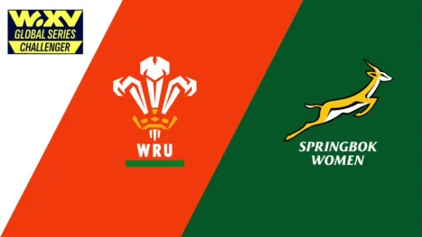 thumbnail - Gales vs. Sudafrica