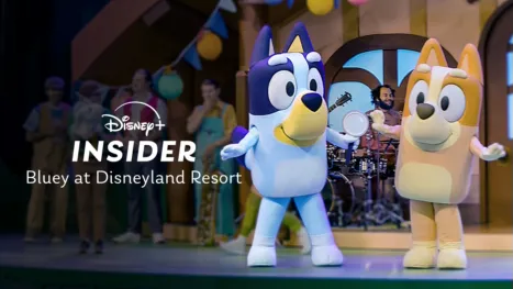 thumbnail - Disney+ Insider: Bluey From Disneyland Resort