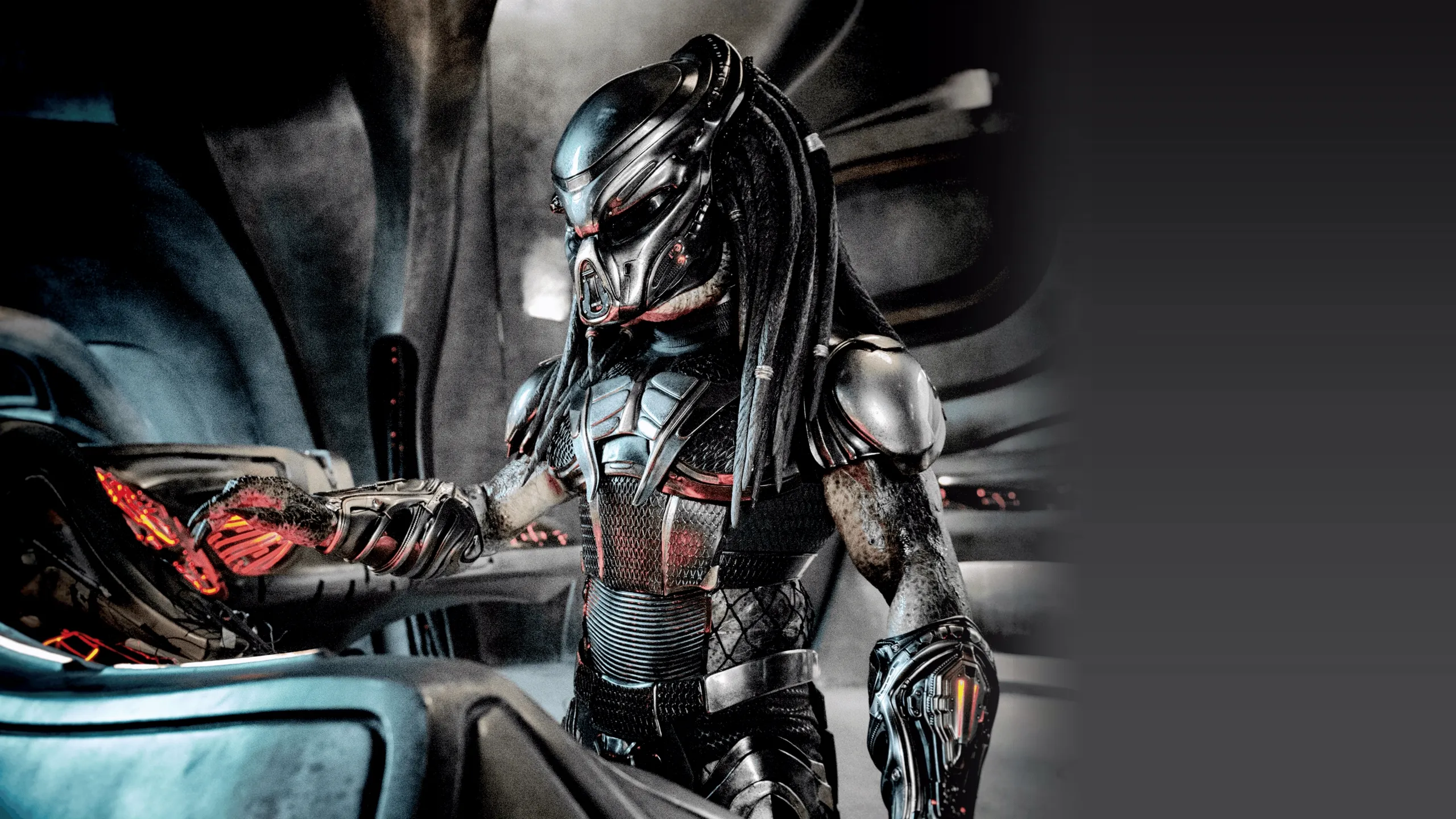 The Predator