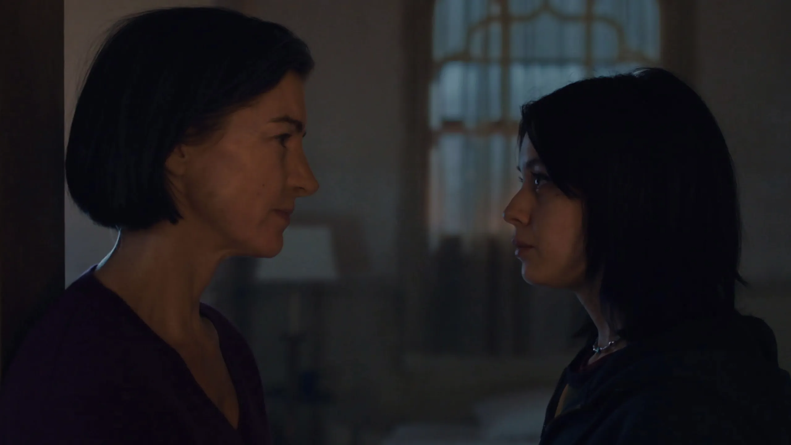 thumbnail - S1:E8 Orphan Black Echoes: Season 1: The Paradox Of Joyce