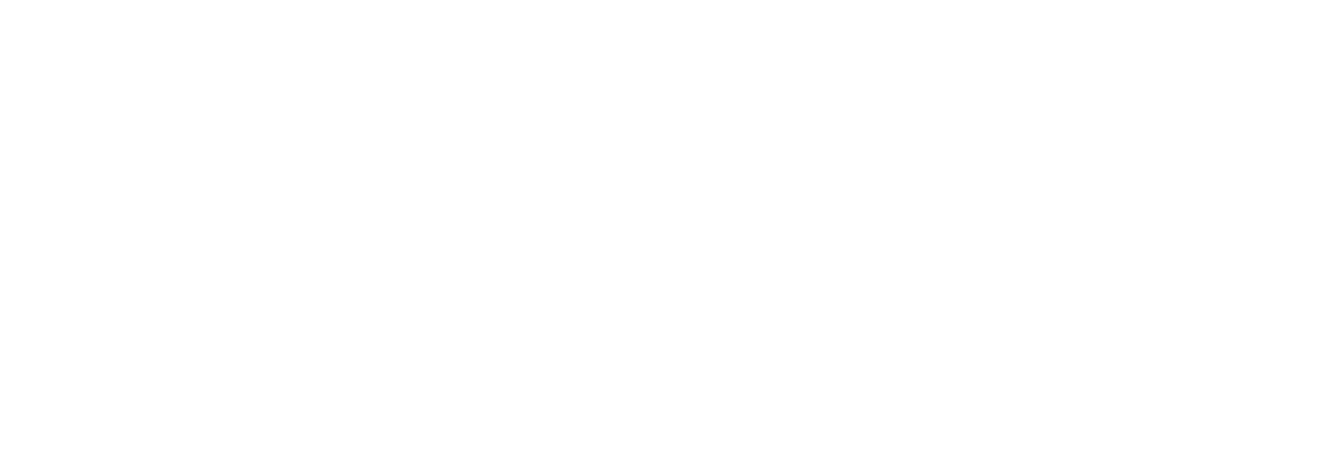 Orphan Black Echoes