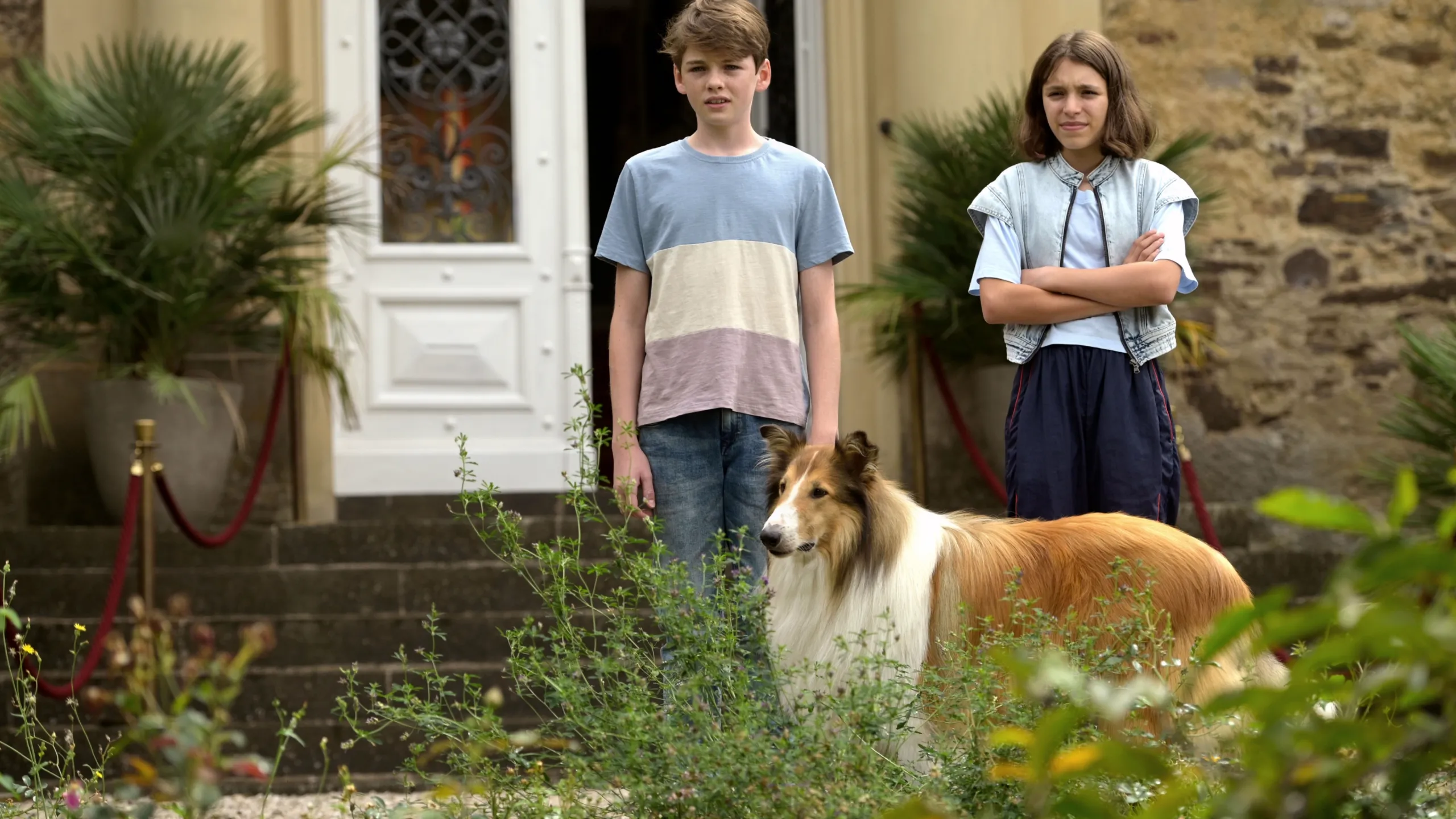 Lassie 2: Ein neues Abenteuer