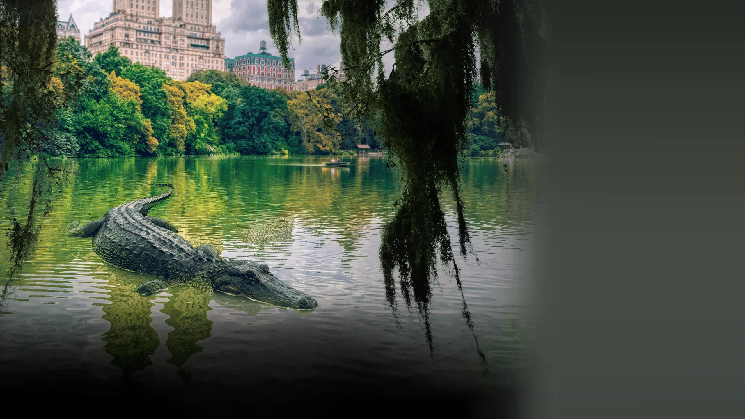 ‪MonsterQuest: Gators in the City‬