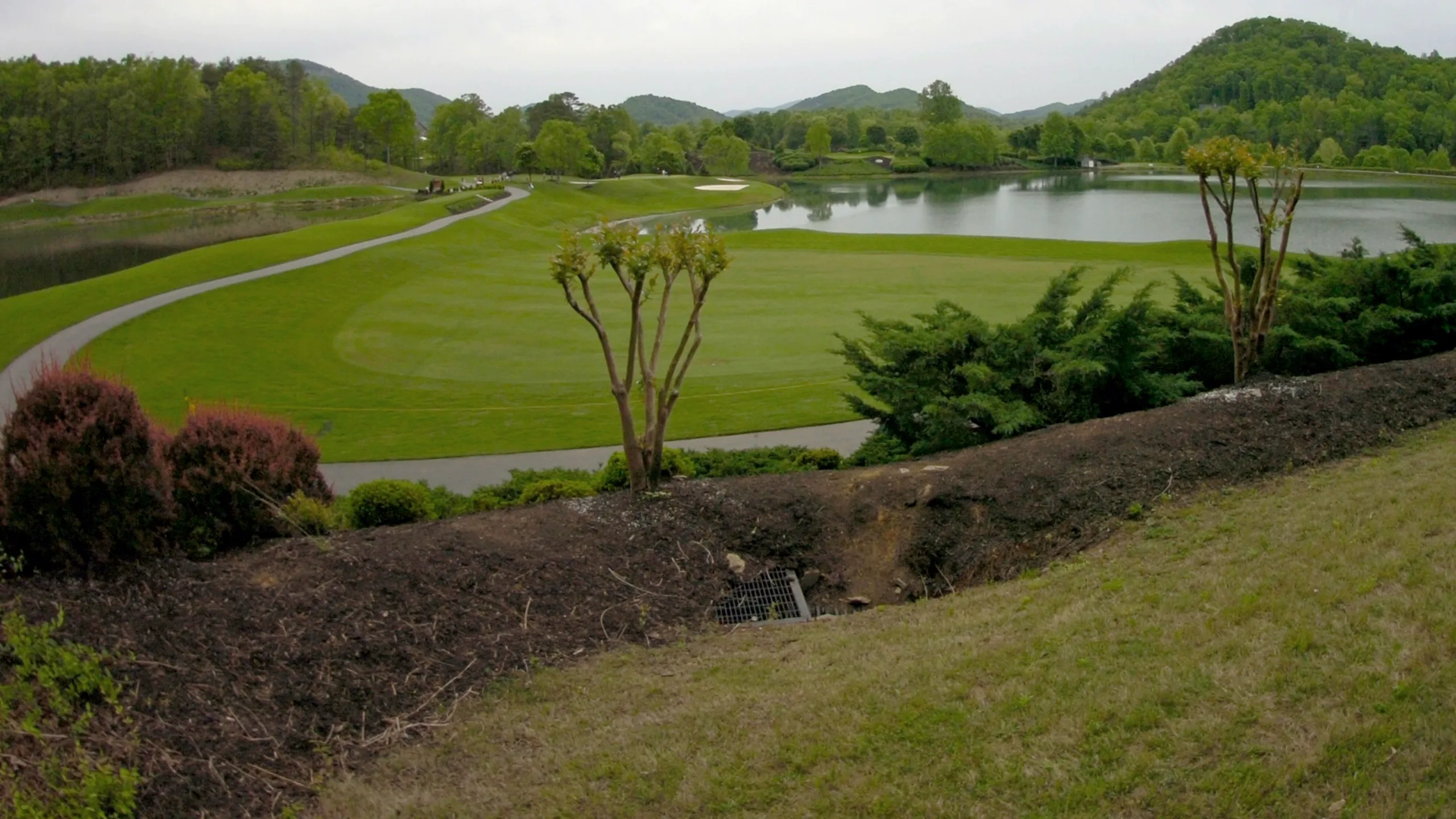 Biltmore Championship Asheville: Koivun & Finau Featured Groups (Second Round)