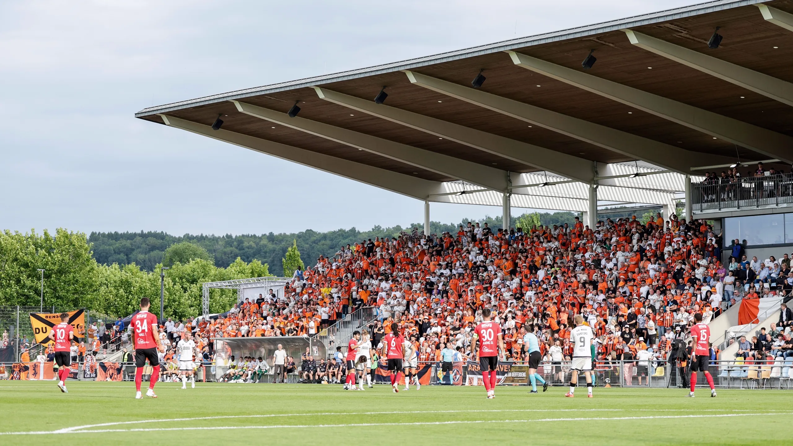 Luxembourg vs. Iceland
