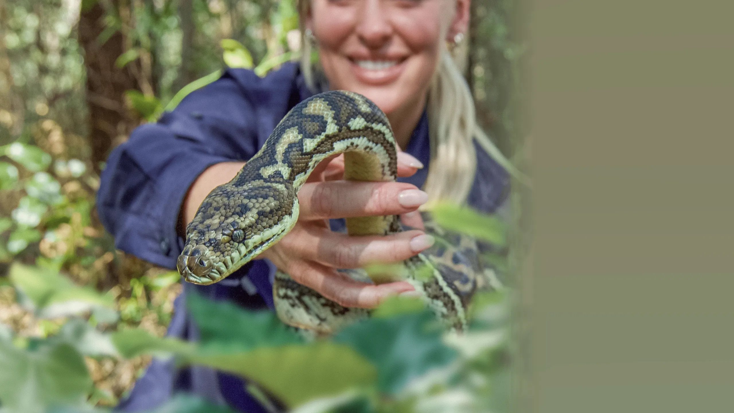 ‪Aussie Snake Wranglers: Deadly Pursuit‬
