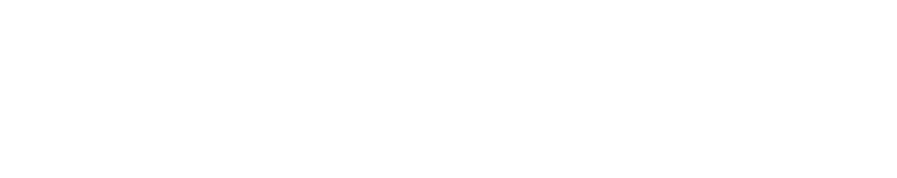 Todo en 90 días: diarios en pandemia