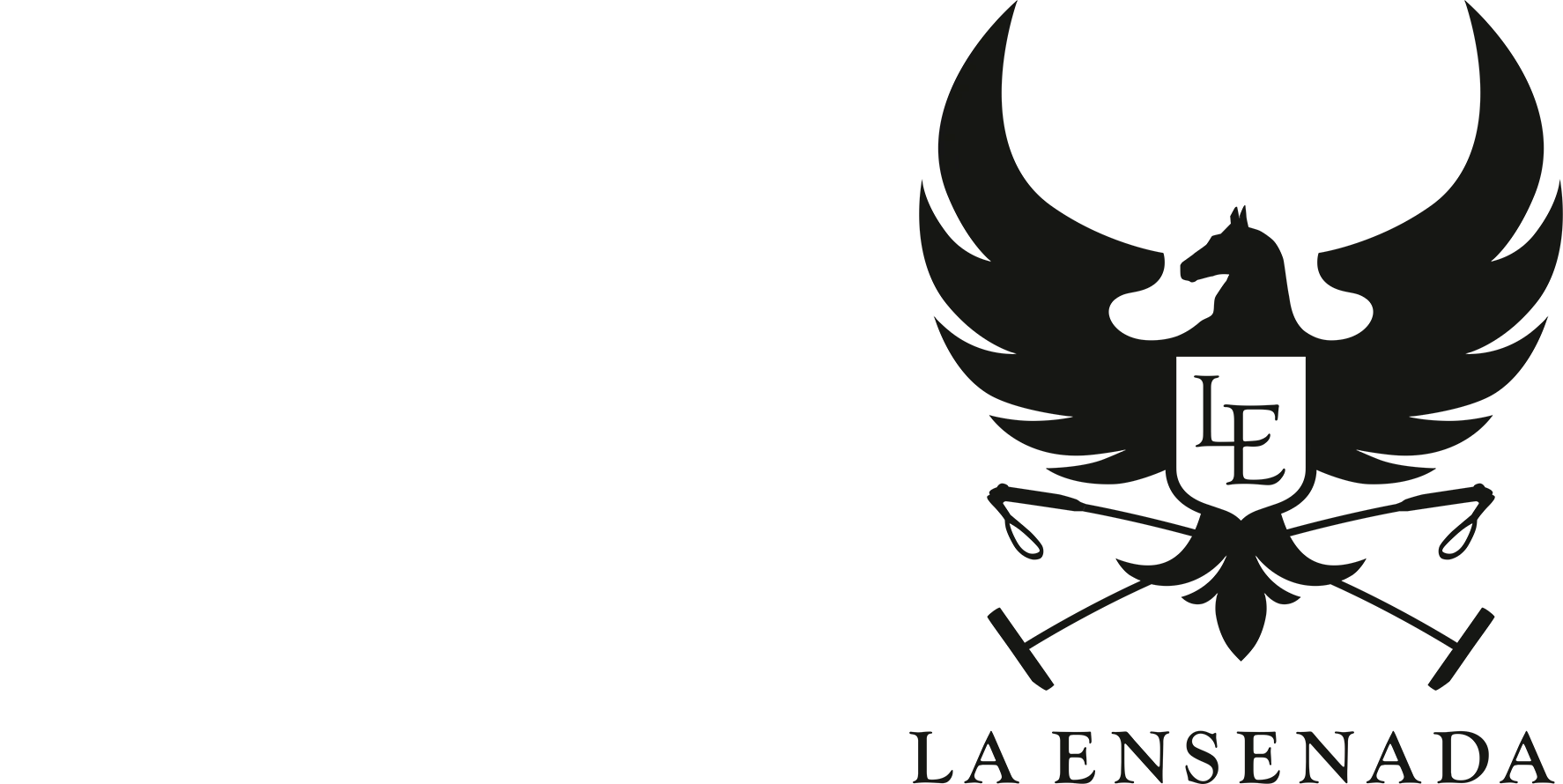 La Aguada vs. La Ensenada | Semi Subsidiaria