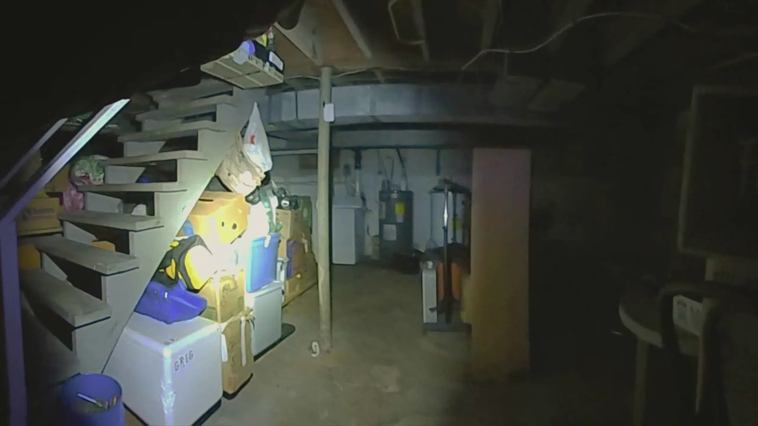 thumbnail - S1:E2 The Roommate Killer