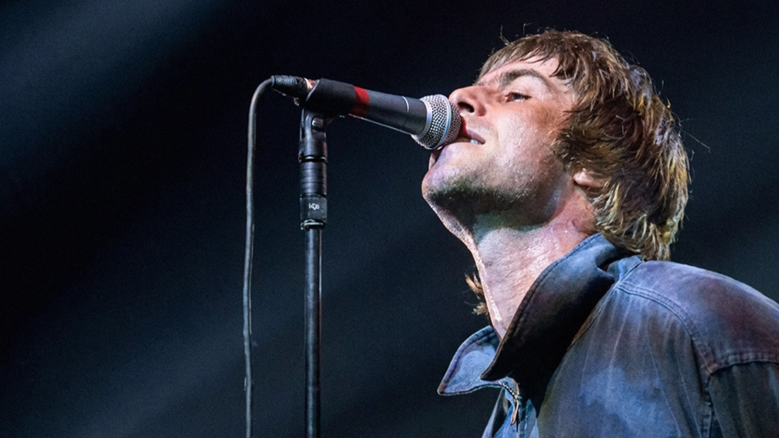 Oasis: Live by the Sea