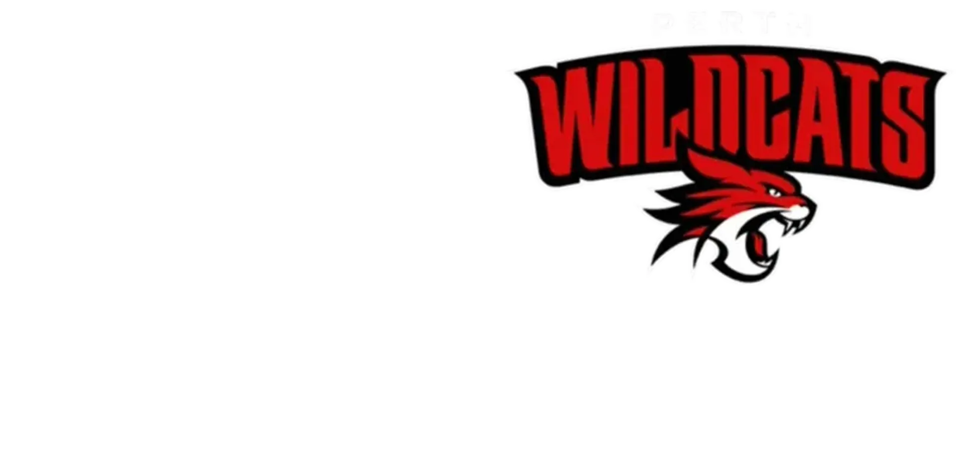 NBL Mini: Perth Wildcats vs New Zealand Breakers (Round 2)
