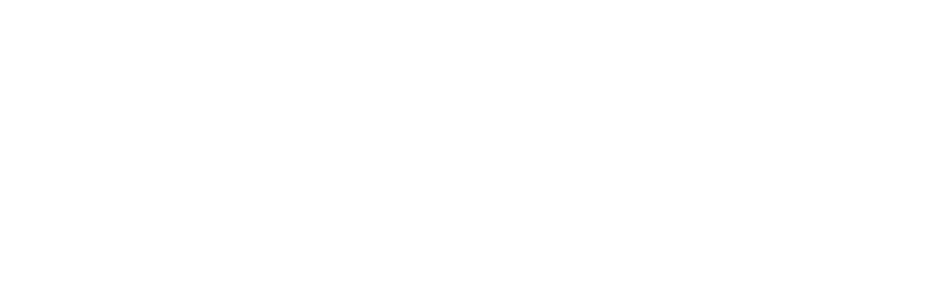The Swan: po drugiej stronie lustra