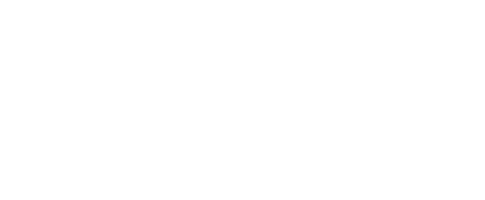 더 스완: 아름다움의 대가