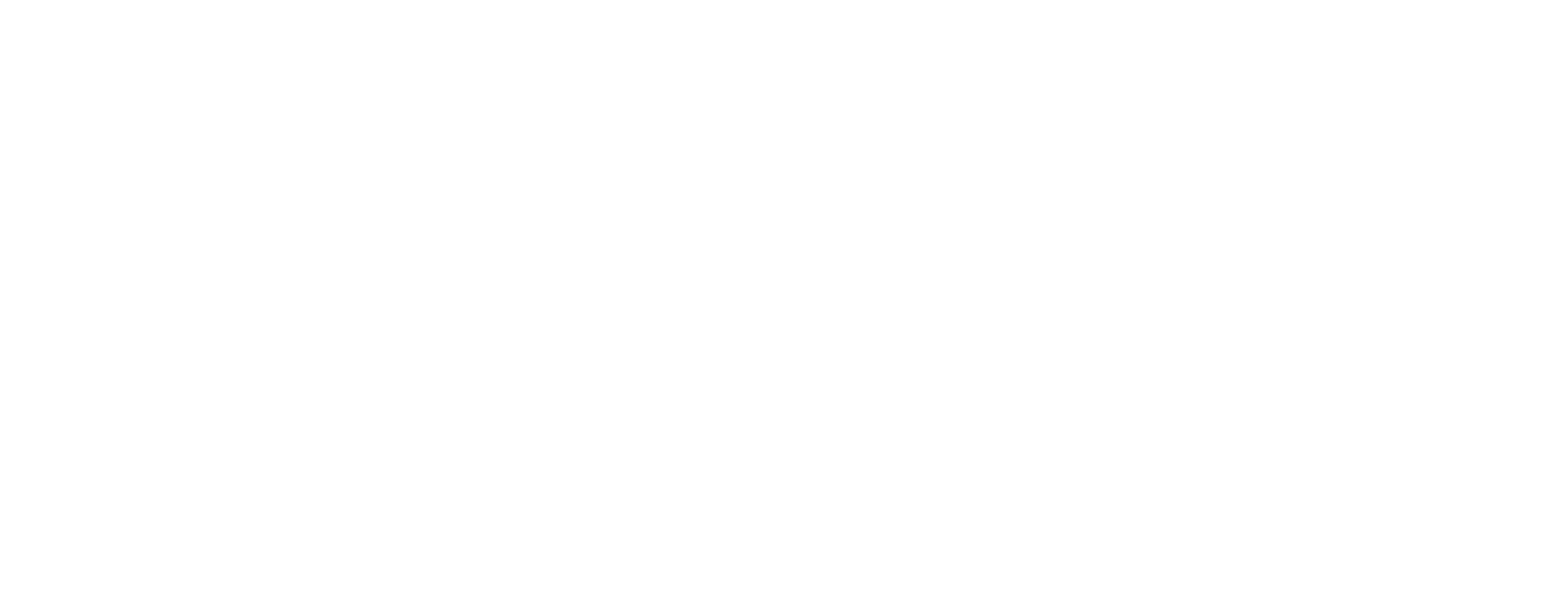 スワン：ビハインド・ザ・ミラー