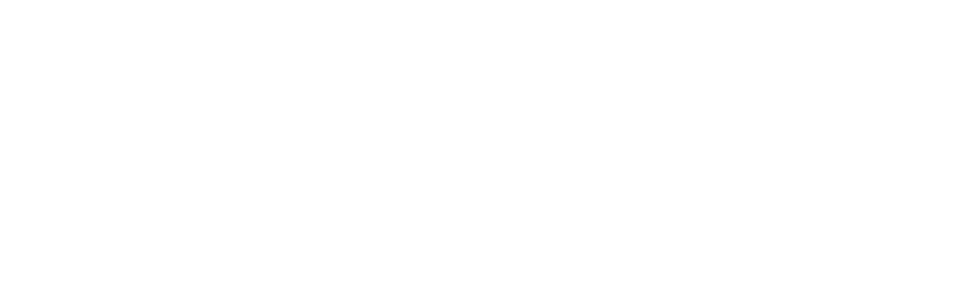 The Swan: Πίσω από τον Καθρέφτη