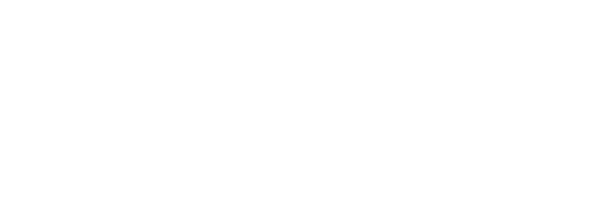Swan: Co se dělo za zrcadly reality show