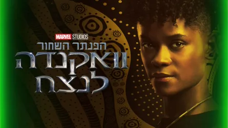 thumbnail - הפנתר השחור: וואקנדה לנצח