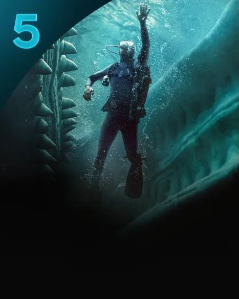 Whalefall | A Special Look