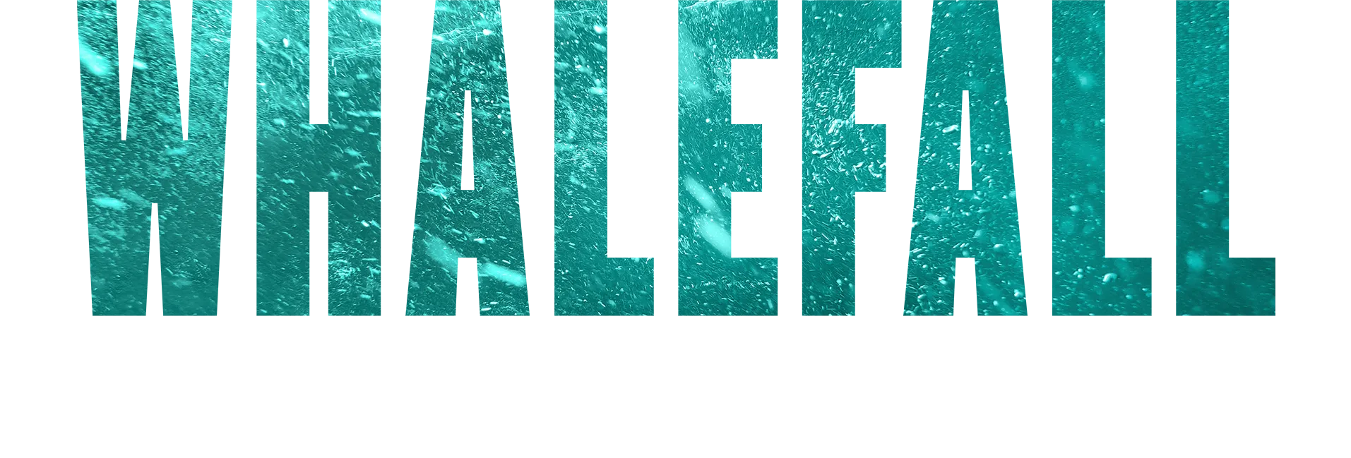 Whalefall | Ein besonderer Einblick