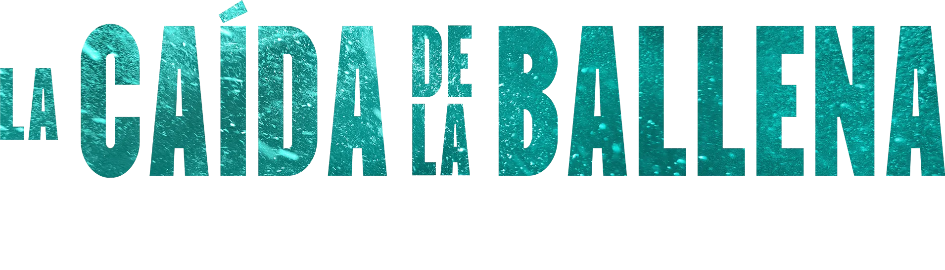 La caída de la ballena | Una mirada especial
