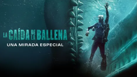thumbnail - La caída de la ballena | Una mirada especial