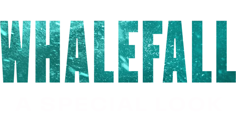 Whalefall | A Special Look