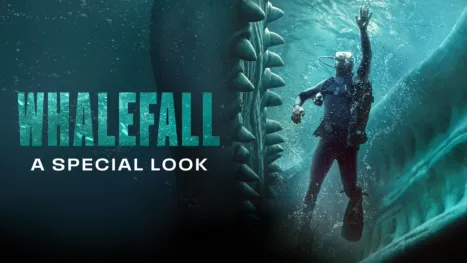 thumbnail - Whalefall | A Special Look