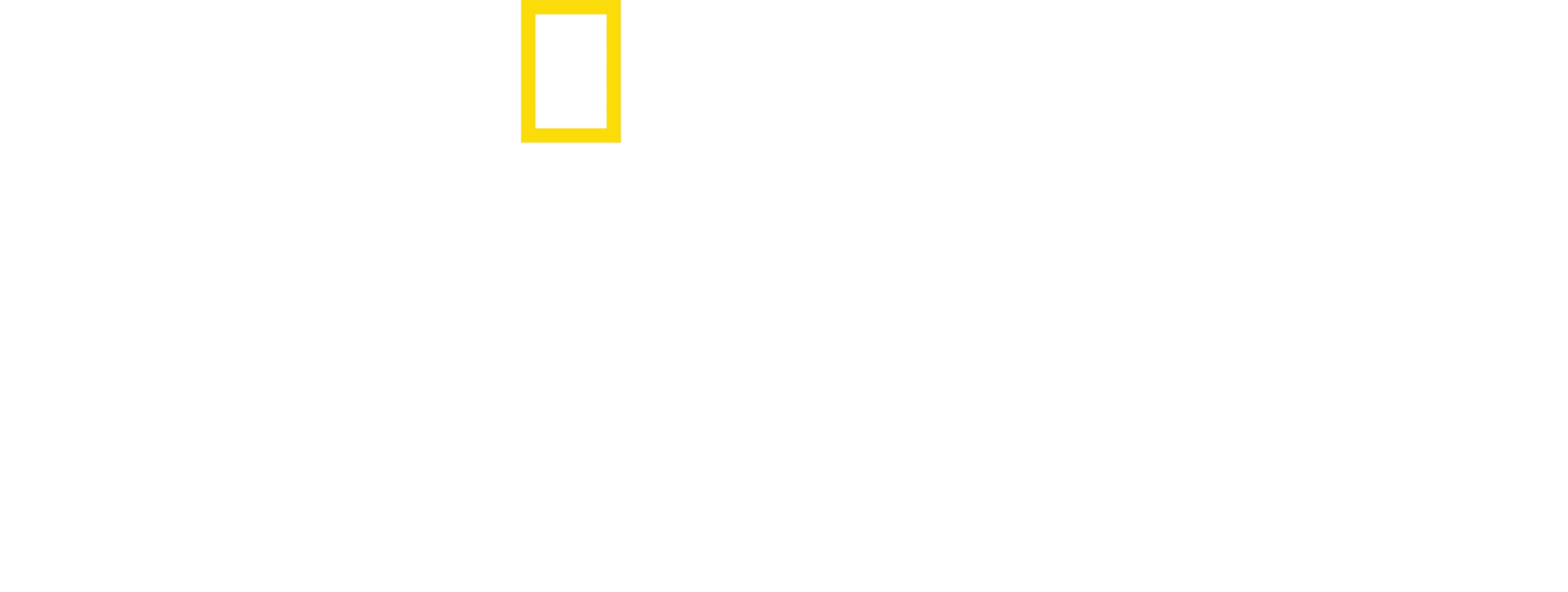 Amsterdam: Gara Centrală