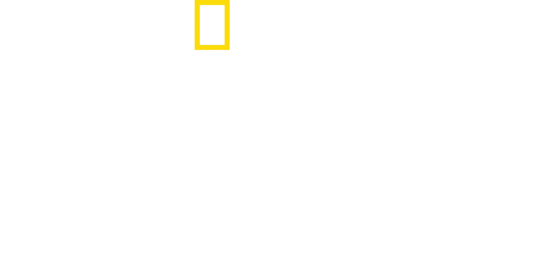 Amsterdam Centraal: Stanica, ktorá nespí