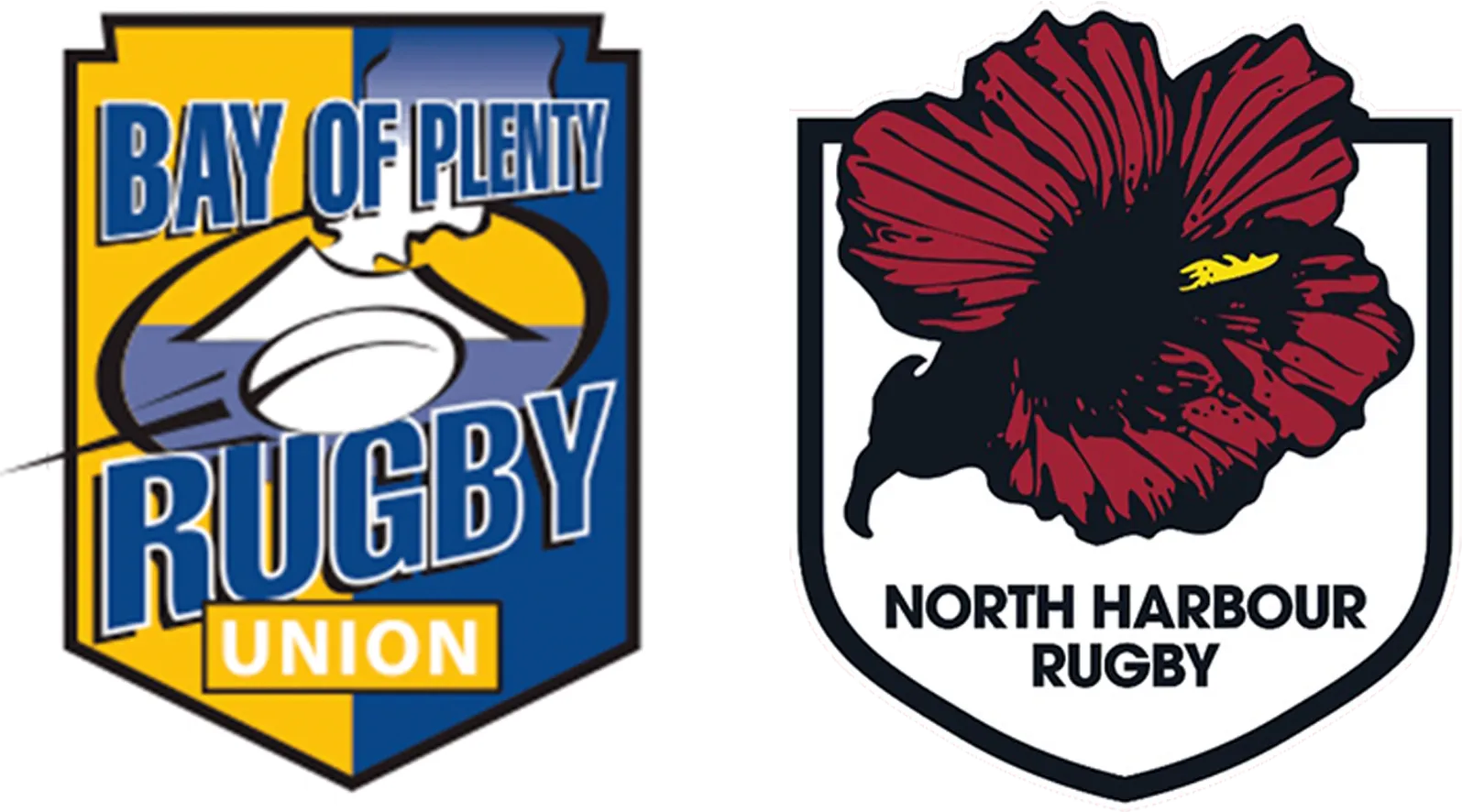 Bay of Plenty vs. North Harbour