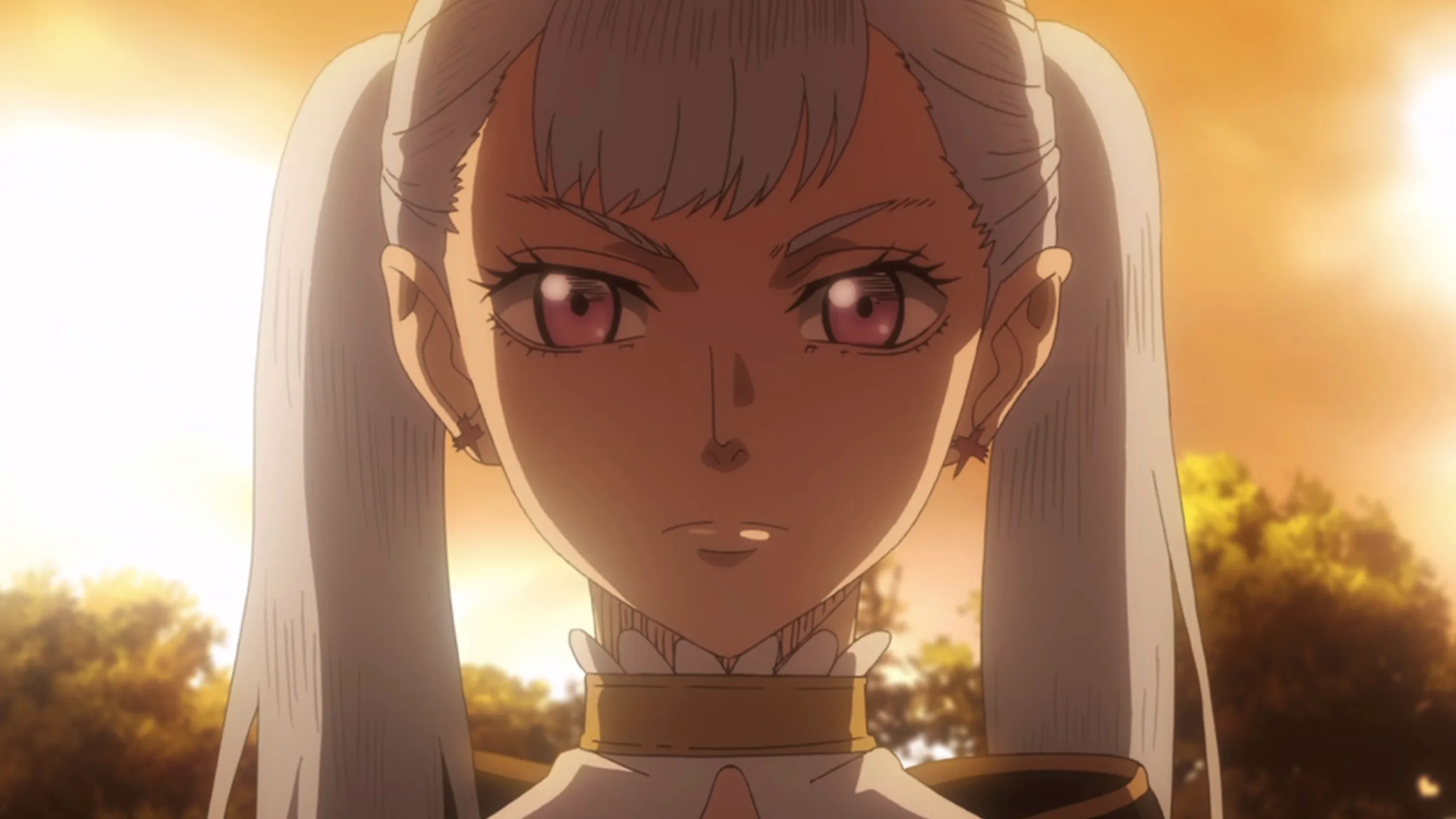 thumbnail - S1：第7話「もう一人の新入団員」