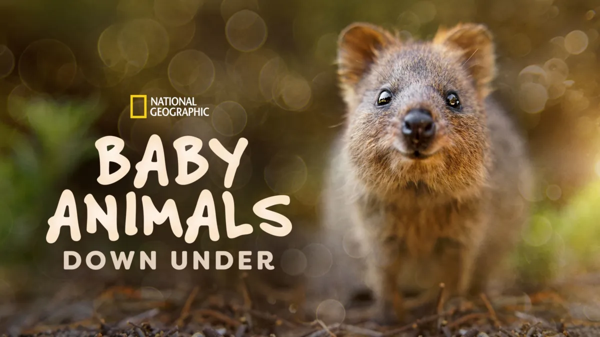 Baby Animals Down Under | Watch Full Episodes | Disney+