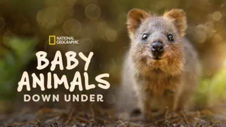 thumbnail - Baby Animals Down Under