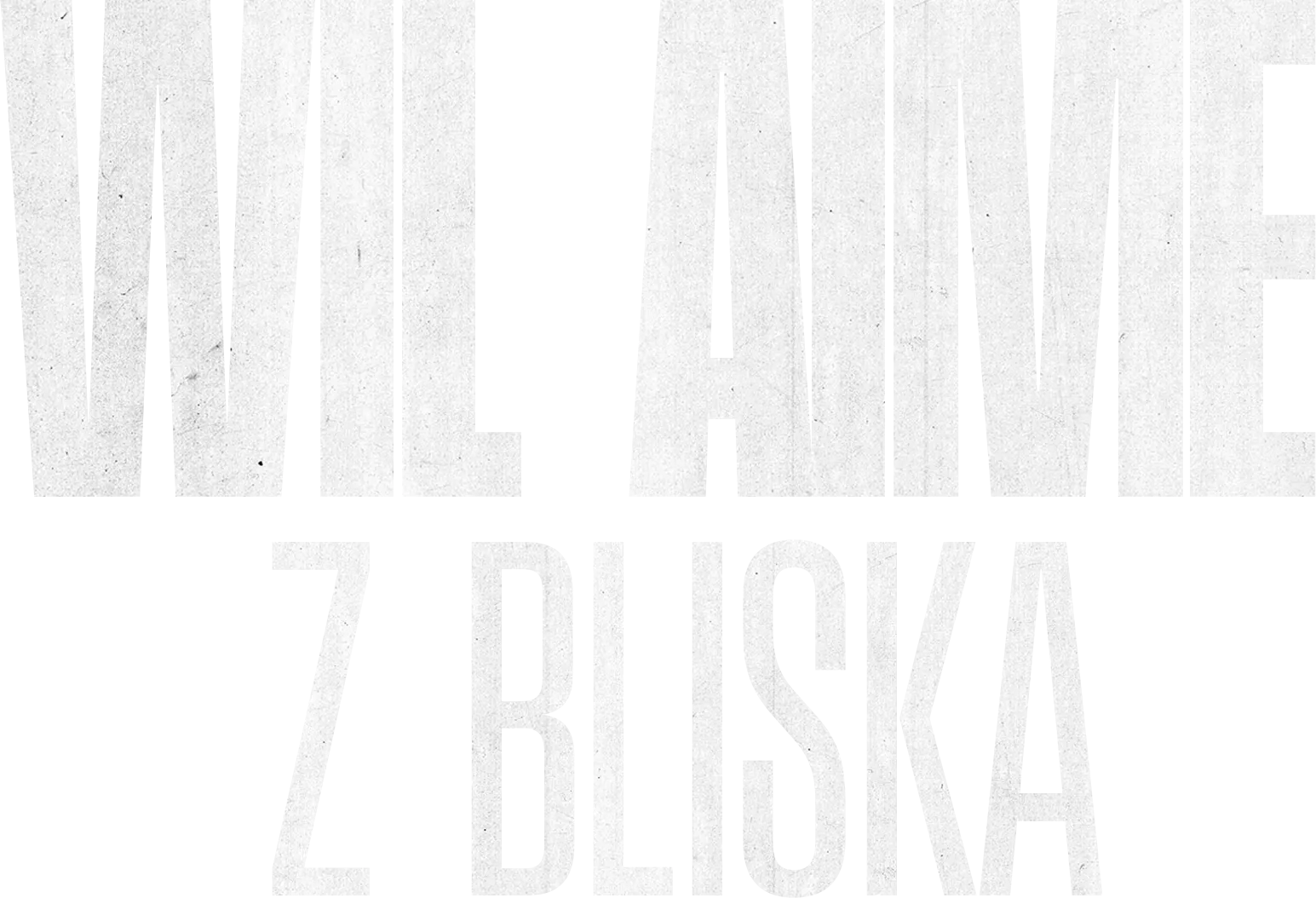 Wil Aime: z bliska