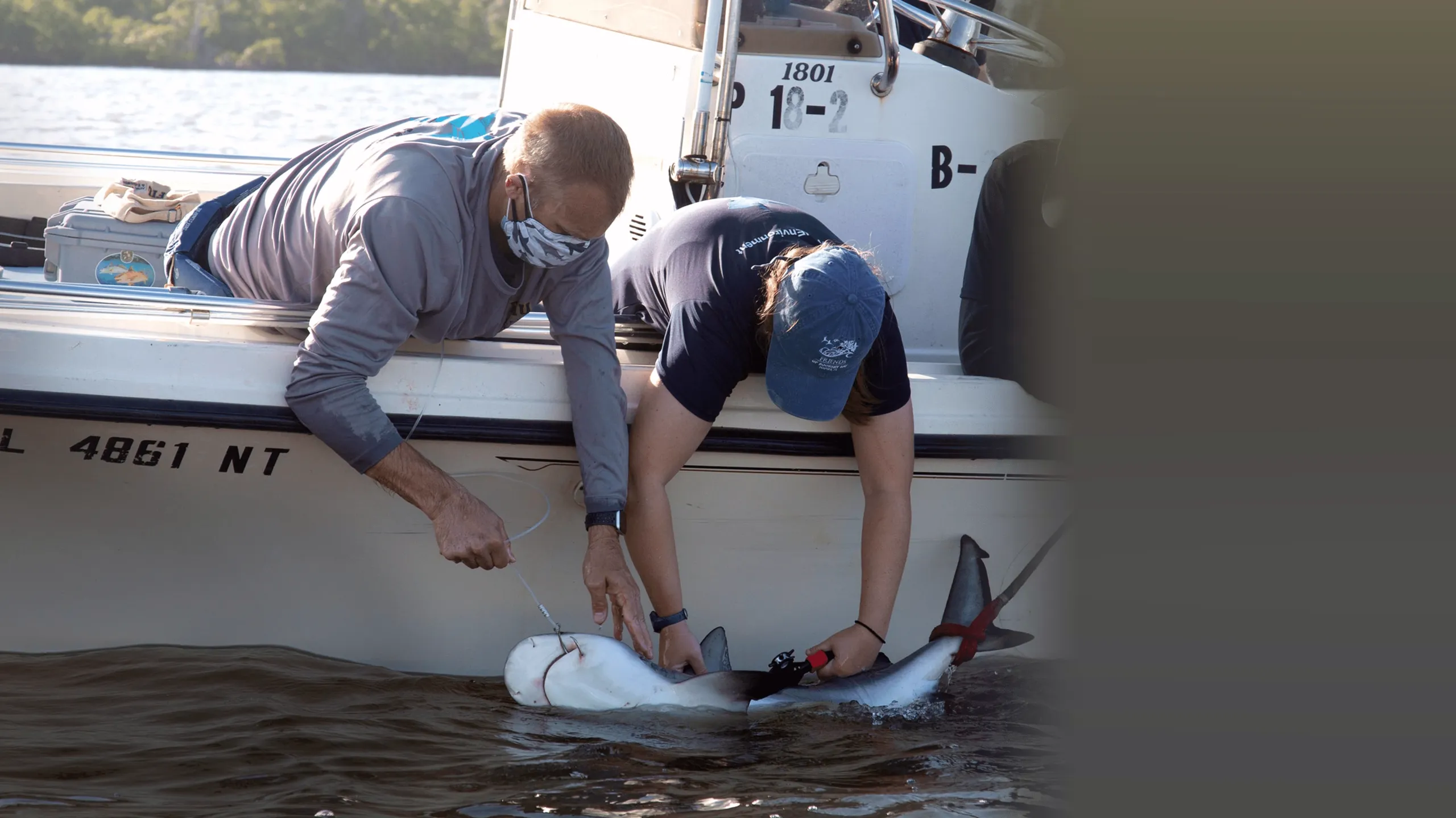 The Croc That Ate Jaws
