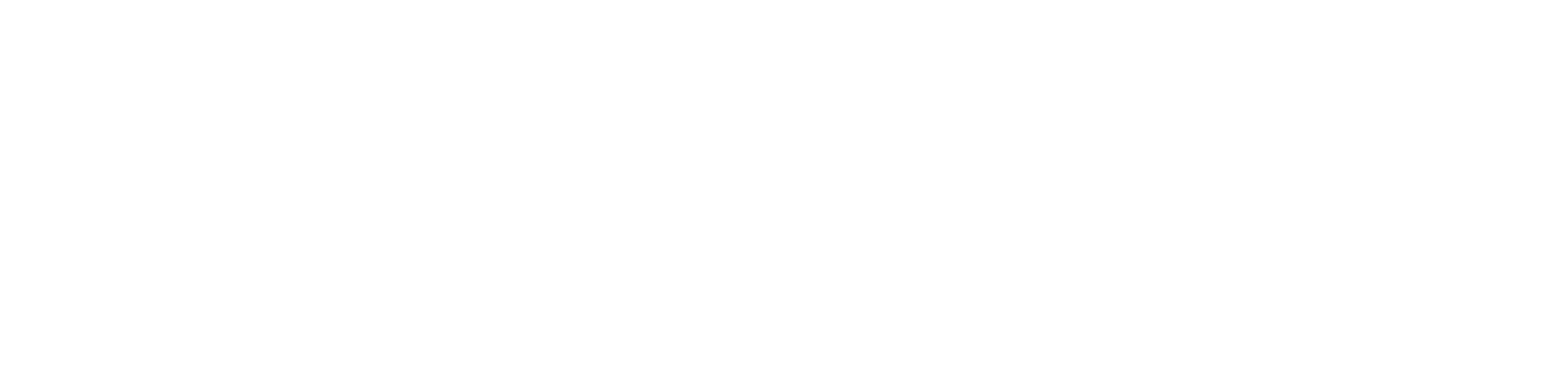 致命配對