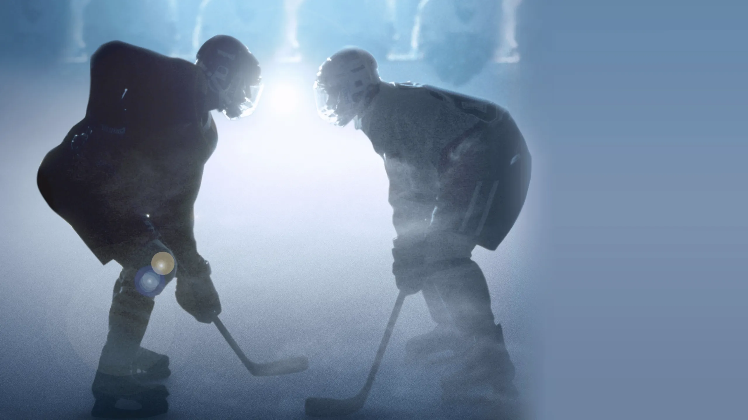 D3: The Mighty Ducks
