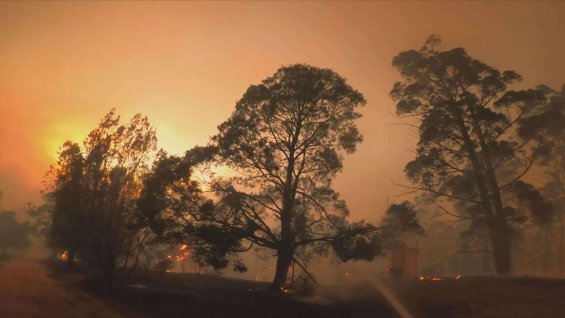 thumbnail - S1:E3 Australian Wildfires