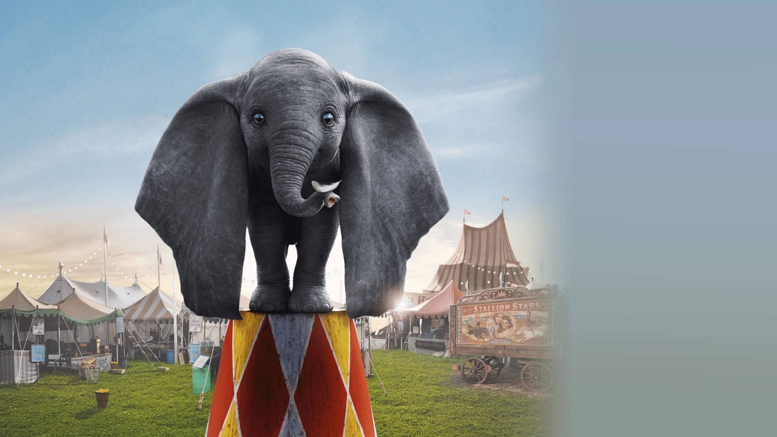 Dumbo