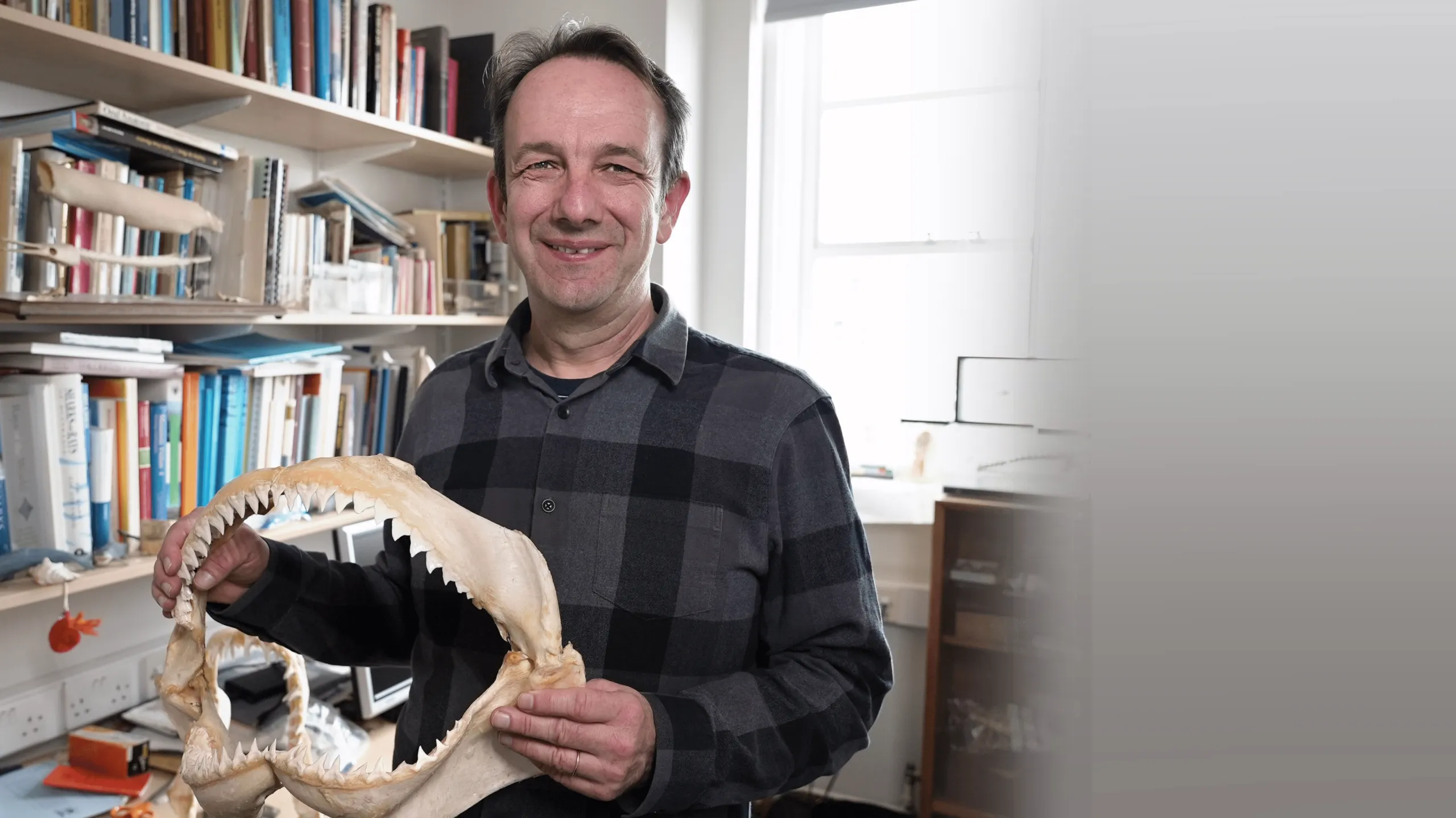‪Shark Quest: Hunt for the Apex Predator‬
