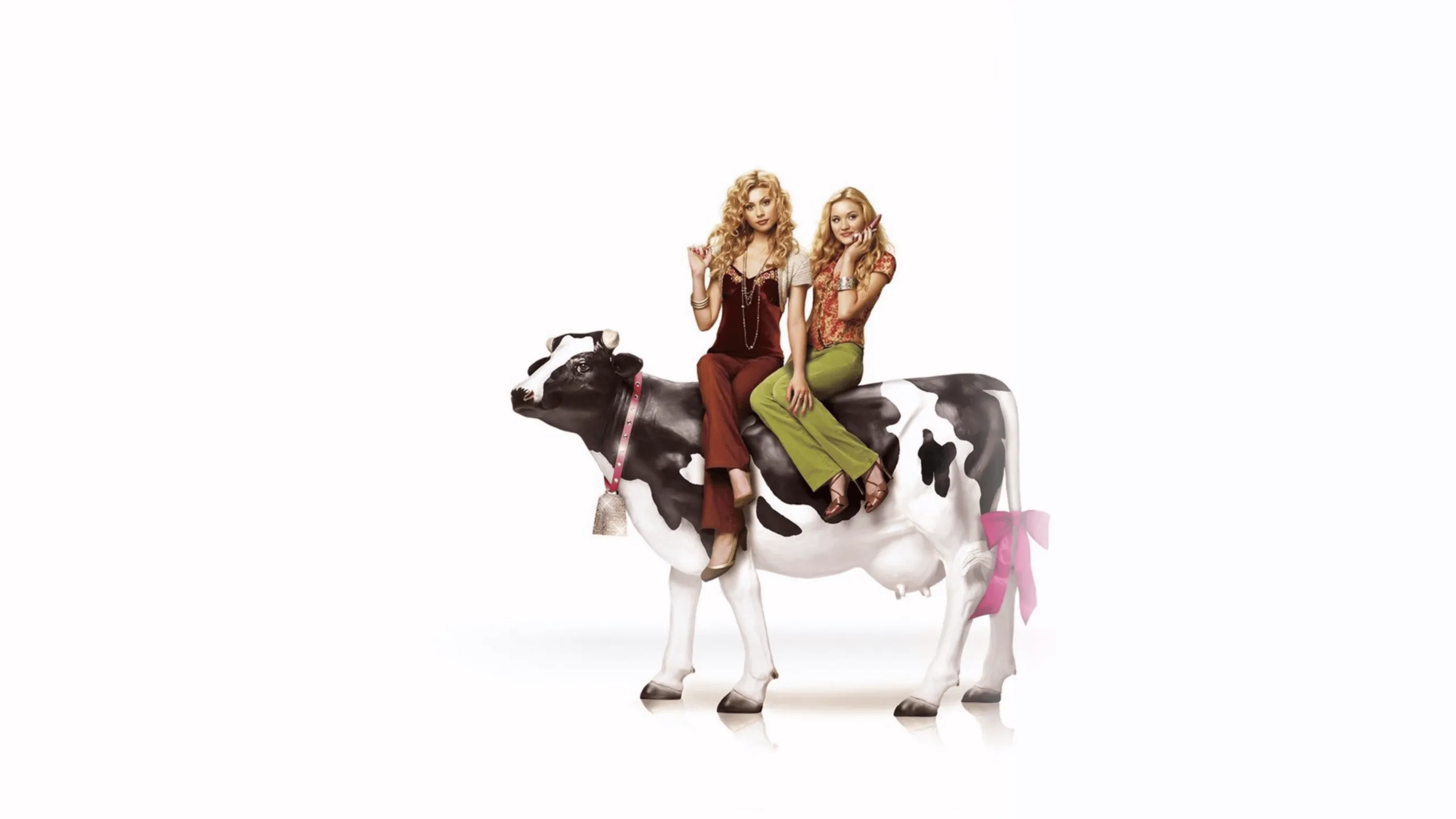 Cow Belles
